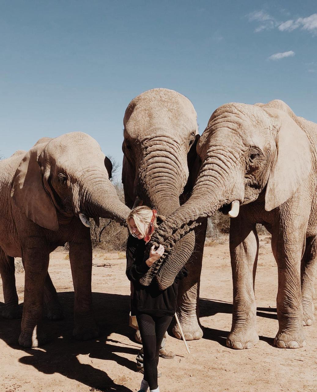 Animal & Wildlife Internships Cape Town, South Africa